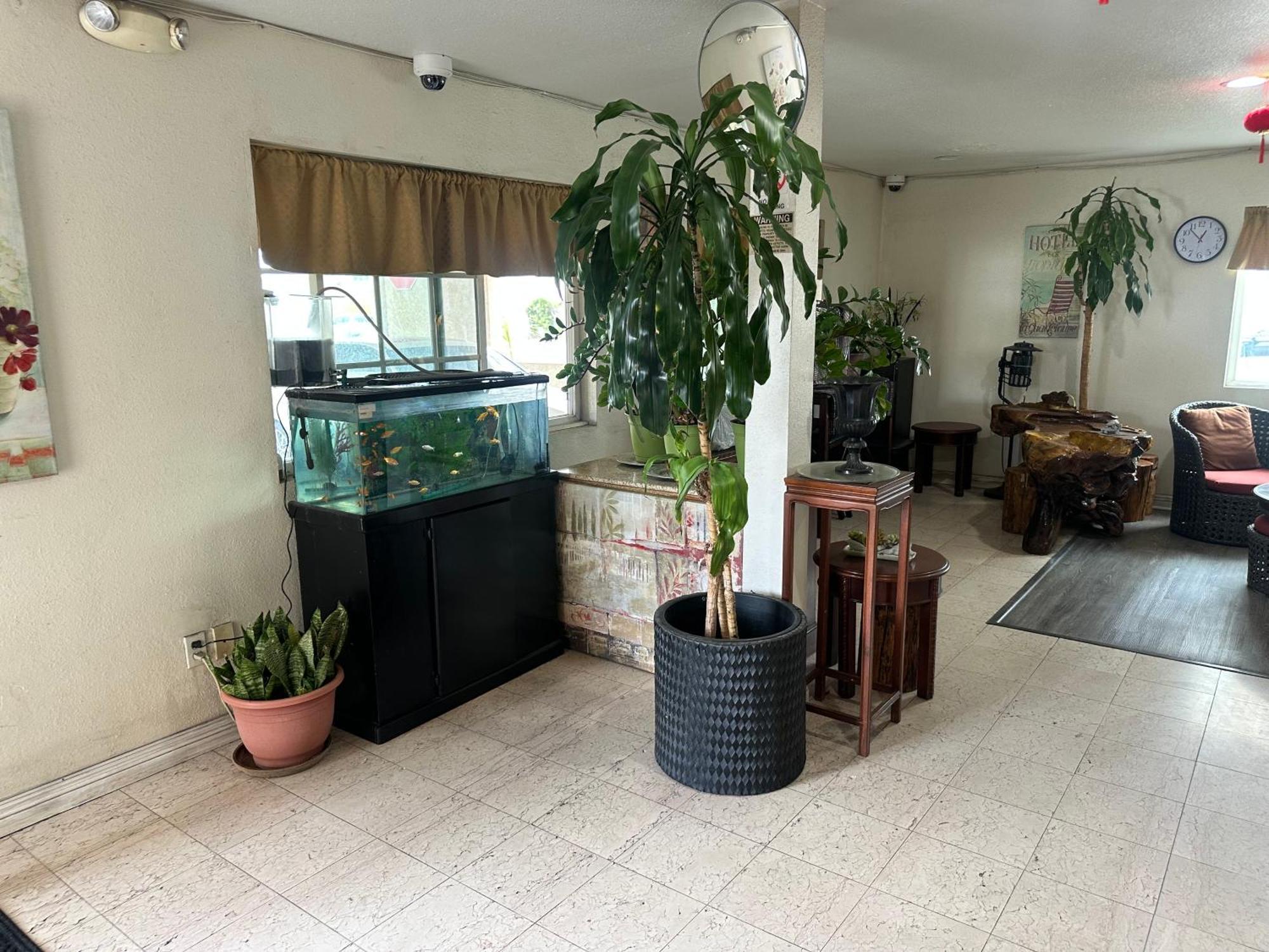 Palm Inn Motel - Rosemead, Los Angeles Екстер'єр фото